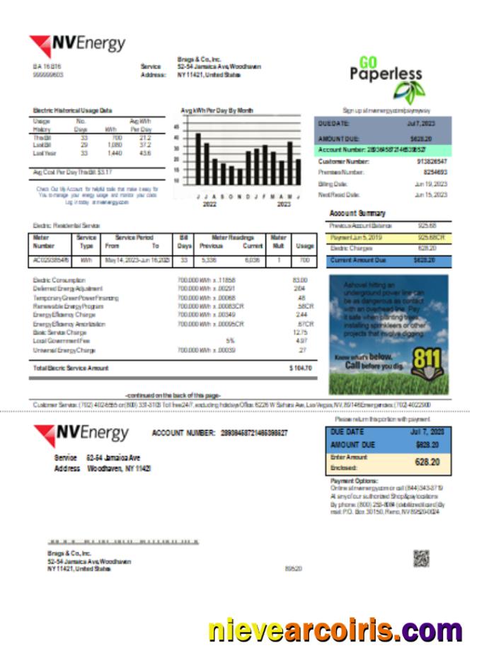 Nevada NV Energy utility business bill